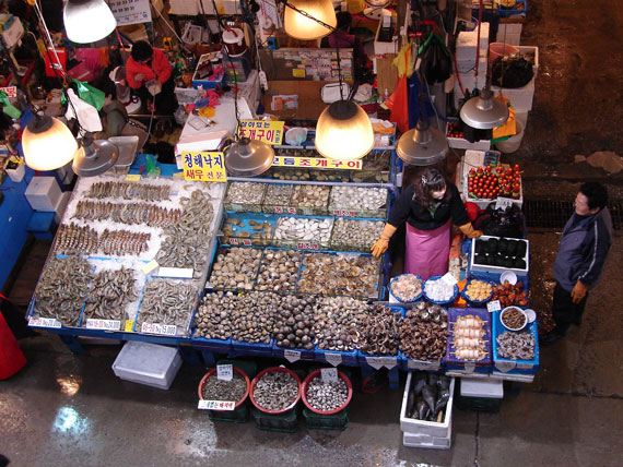 위에서 내려다 본 노량진 수산시장의 모습. 가득한 생선, 조개들이 마음까지 풍요롭게 만든다.